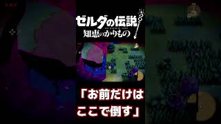 覚悟を決めたモリブリン ゲーム実況 ゼルダの伝説知恵のかりもの [upl. by Aydidey79]