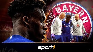 HudsonOdoi schwer verletzt Neue Chance für die Bayern  SPORT1 [upl. by Iahs992]