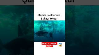 BU FİLMİ İZLEDİN Mİ  PARİSİN ALTINDA keşfet keşfetbeniöneçıkar film [upl. by Inimod582]