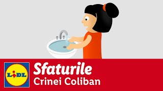 Cum te aperi de toxiinfectie alimentara • Sfaturile Crinei Coliban [upl. by Leasia965]