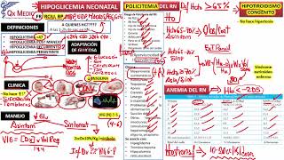 Hipoglicemia Policitemia Anemia Tuberculosis Perinatal y Mortalidad Neonatal  Neonatología 2019 [upl. by Latsyrc205]