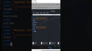Bash script System Information [upl. by Seen]