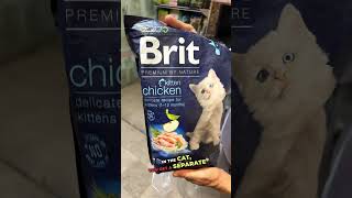 Brit Cat Food Review  GrainFree Medicated Cat Food from the Czech Republic [upl. by Bolling]