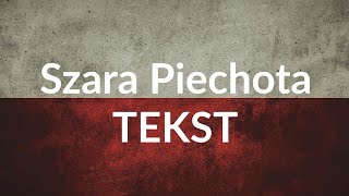 Szara Piechota  tekst [upl. by Accebar393]