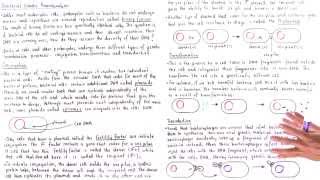 Conjugation Transformation and Transduction [upl. by Wilterdink287]