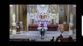 Morning Mass  The Church of the Most Holy Redeemer Clonard Monastery West Belfast N Ireland [upl. by Analad]