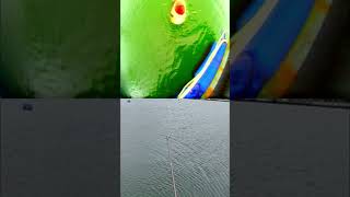 Watch how I reel it in fishing visual carpfishing angler fish [upl. by Tlaw]