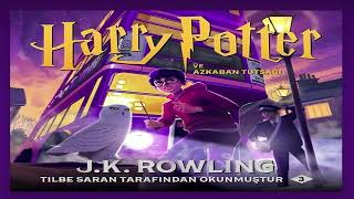 harry potter ve azkaban tutsagı 7bölüm gardropdaki böcürt sesli kitap [upl. by Cope27]