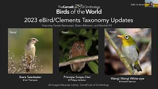 Birds of the World Discovery Webinar 2023 eBirdClements Taxonomy Update [upl. by Albemarle]