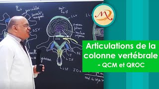 Articulations de la Colonne Vertébrale QCM et QROC [upl. by Nieberg955]