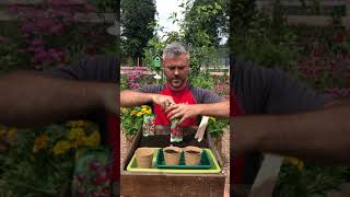 Sow Salad for Summer  How to Grow Cucumbers and Tomatoes [upl. by Nagiam]