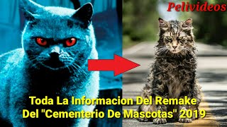 Toda La Informacion Del Remake De quotCementerio De Mascotasquot 2019 [upl. by Markiv773]