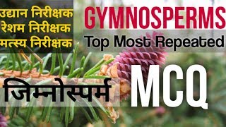 Gymnosperms top Repeated MCQ  Biology MCQ For Horticulture Exam  जिम्नोस्पर्म [upl. by Arodoet661]