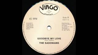 The Sadonians  Goodbye My Love [upl. by Iormina]