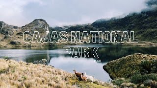 Cajas National Park first camping trip ever [upl. by Ormiston]