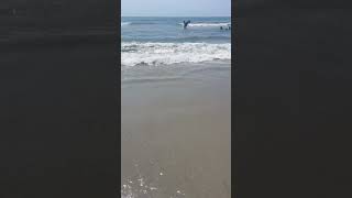 At the wildwood beach in new jersey maryefuchs summervibes wildwoodnj oceanlife vlogs [upl. by Bainbridge]