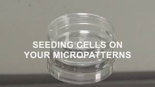 Tutorial Video Seeding Cells on your Micropatterns [upl. by Milicent]