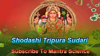 Shodashi Tripura Sundari  Mahavidya Mantra [upl. by Namra]