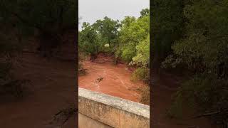 A Red River Rises  Oklahoma storm redriver oklahoma storm reddirt [upl. by Drue]