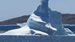 Floundering IceBerg  Greenspond Newfoundland [upl. by Revned]