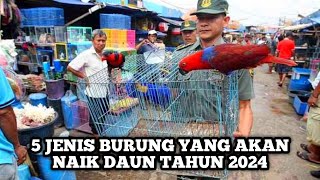 Ini dia 5 Jenis burung yg diprediksi akan Naik Daun ditahun 2024 [upl. by Egwan]