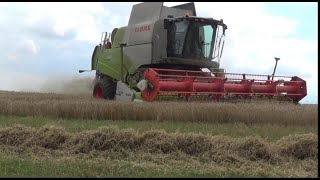 Wheat harvest in fields above the Chalke Valley South Wiltshire [upl. by Poulter]