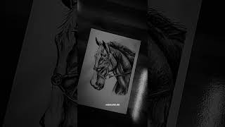 Horse charcoal sketch  shorts viralshorts youtubeshorts drawing art [upl. by Daphie]