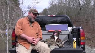 How best to avoid ticks from an outdoor expert  permethrin or deet [upl. by Taub466]