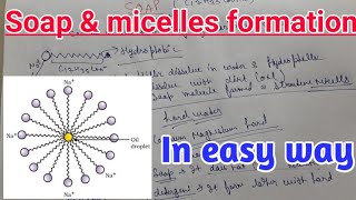 Soap and micelles formation in easy way with brief [upl. by Aizek655]