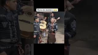 El mono de alambre ahora si se pasó el mariachi bailarías esto 😤🤬 [upl. by Artimas]