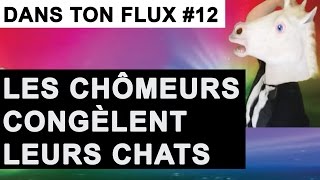 Les chômeurs congèlent leur chat DansTonFlux 12 [upl. by Ledarf]