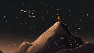 Анатомия dev Linux Где железо встречает код Обзор устройств и драйверов [upl. by Aniara923]