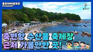 죽변항 수산물 축제장 근처 가볼만한 곳  울진SNS홍보단  울진군청 [upl. by Trainer]