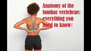 Anatomy of the lumbar vertebrae everything you need to know [upl. by Eellek]