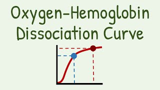 Oxygen Hemoglobin Dissociation Curve [upl. by Attwood]