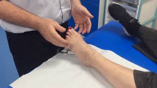 How to check for the dorsalis pedis amp anterior tibial pulse with a Doppler [upl. by Varion]