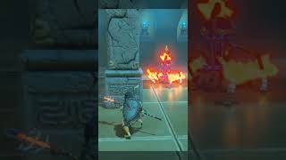 Link playing with his pet in Zelda BOTW  Zelda Breath of the Wild viral zelda botw shorts [upl. by Argela]