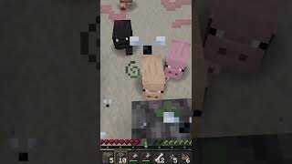 I SURVIVED FEAR NIGHTFALL WITH zeekmc kemics05 minecraft fearnightfall [upl. by Aicia]