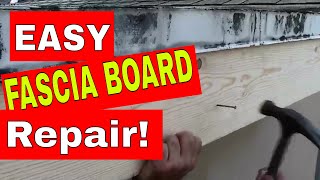 ROOF FASCIA BOARD  How to Repair or Replace Rotten Wood in a Few Easy Steps [upl. by Kerwinn833]