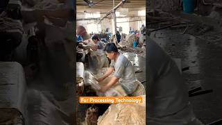 Fur Processing Technology [upl. by Stockmon]