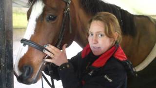 HOW TO Fit A Cavesson Bridle  GG Eventing [upl. by Julee]