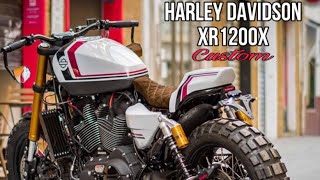 Custom Harley Davidson XR1200X by Macco Motors [upl. by Earissed63]