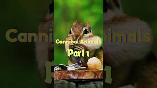 Cannibal animals  Animals eat their own offspring part 1 shorts facts wildlife cannibalization [upl. by Anali919]