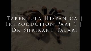 Tarentula Hispanica  Introduction Part 1  Dr Shrikant [upl. by Latvina]