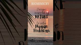 Understand the concept of BIOMIMICRY with 5 examples [upl. by Meeki]