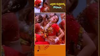 ఎర్రాని కుర్రదాన్ని గోపాలా Errani kurradanni Song  Premikudu Movie Superb shorts youtubeshorts [upl. by Shaia]