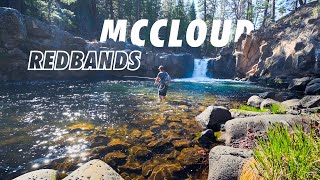 Fly Fishing for McCloud Redband Trout  California Heritage Trout Challenge [upl. by Vona]