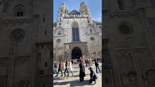 stephansdom stephanplatz vienna austria viennacity viennatoday visitvienna [upl. by Imyaj]