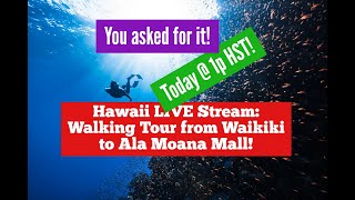 Hawaii LIVE Stream Lets Walk from Waikiki to Ala Moana Mall hawaii goingtohawaii visithawaii [upl. by Okun]