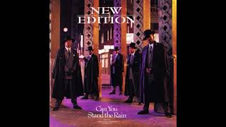 New Edition – Can You Stand The Rain True Instrumental [upl. by Anivram]